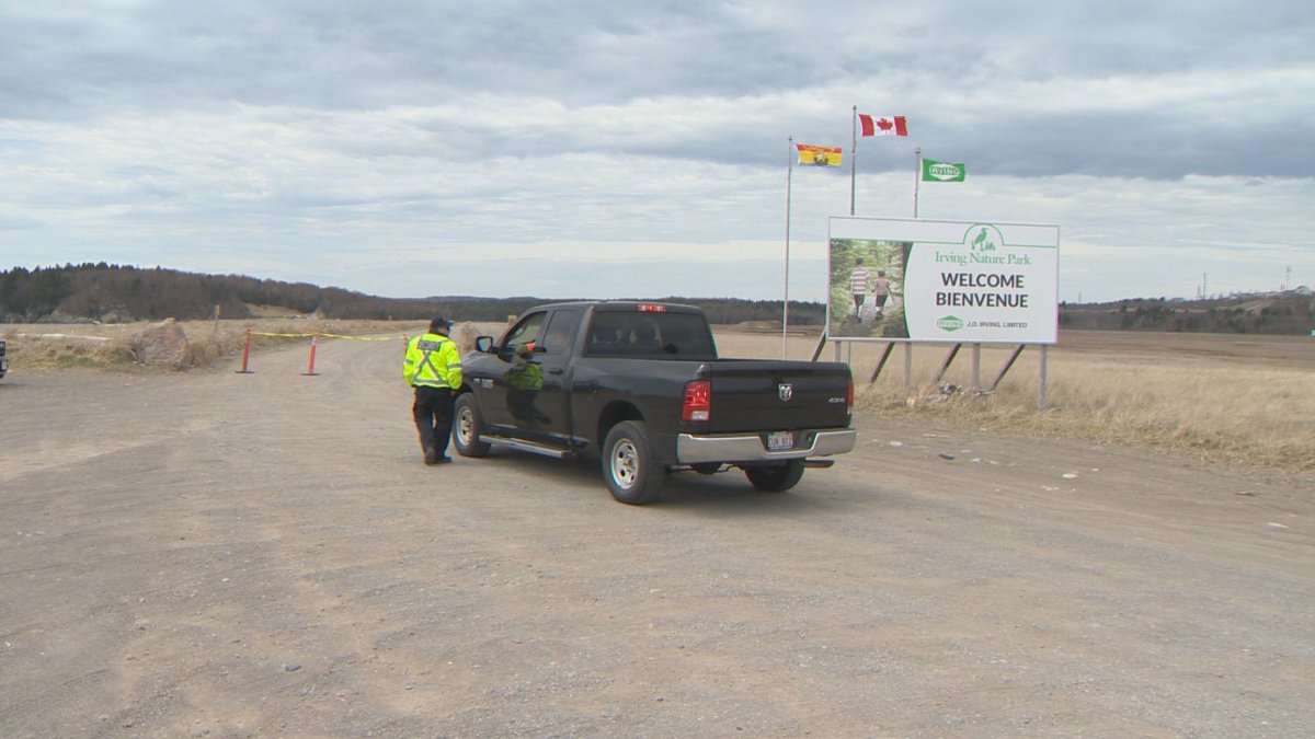 Officials continue to investigate after human remains were found in Irving Nature Park in Saint John. 