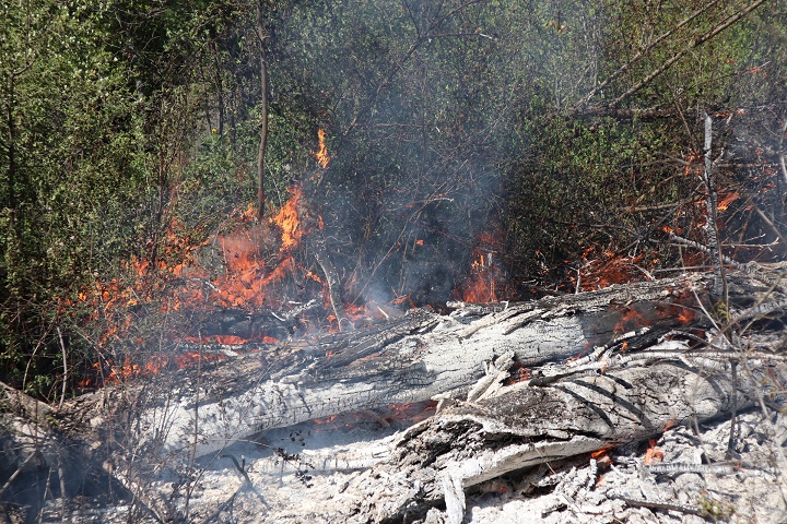 Fire crews in Kelowna were called to a fire at the base of Dilworth Mountain on Friday afternoon. The blaze was quickly extinguished.