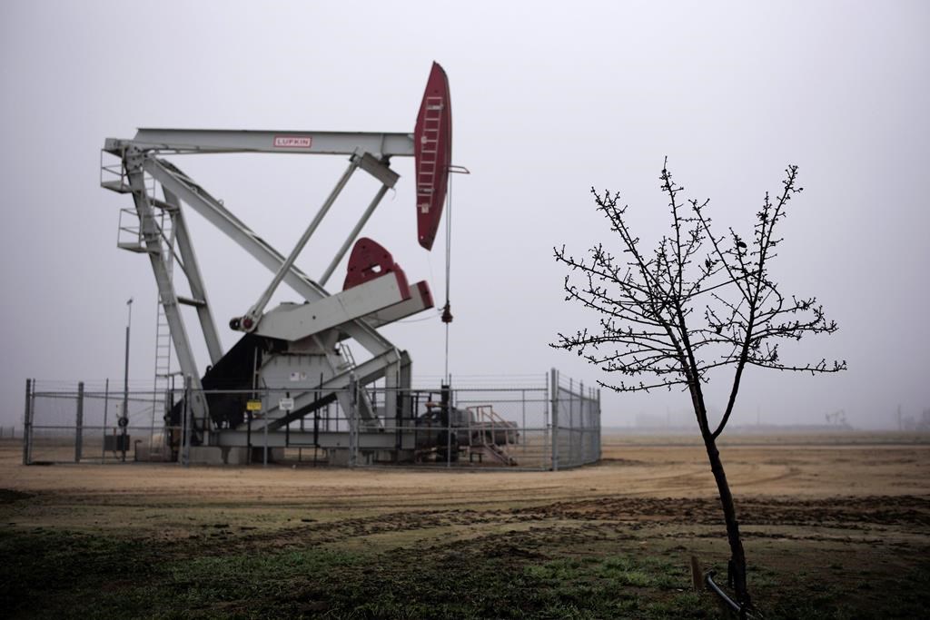 FILE - This Jan. 15, 2015 file photo shows an almond tree by a pumpjack in Shafter in California's Central Valley.