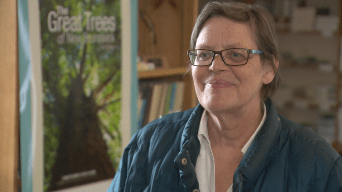 Lois Corbett, executive director of the Conservation Council of New Brunswick, says there are other avenues to help fight climate change.