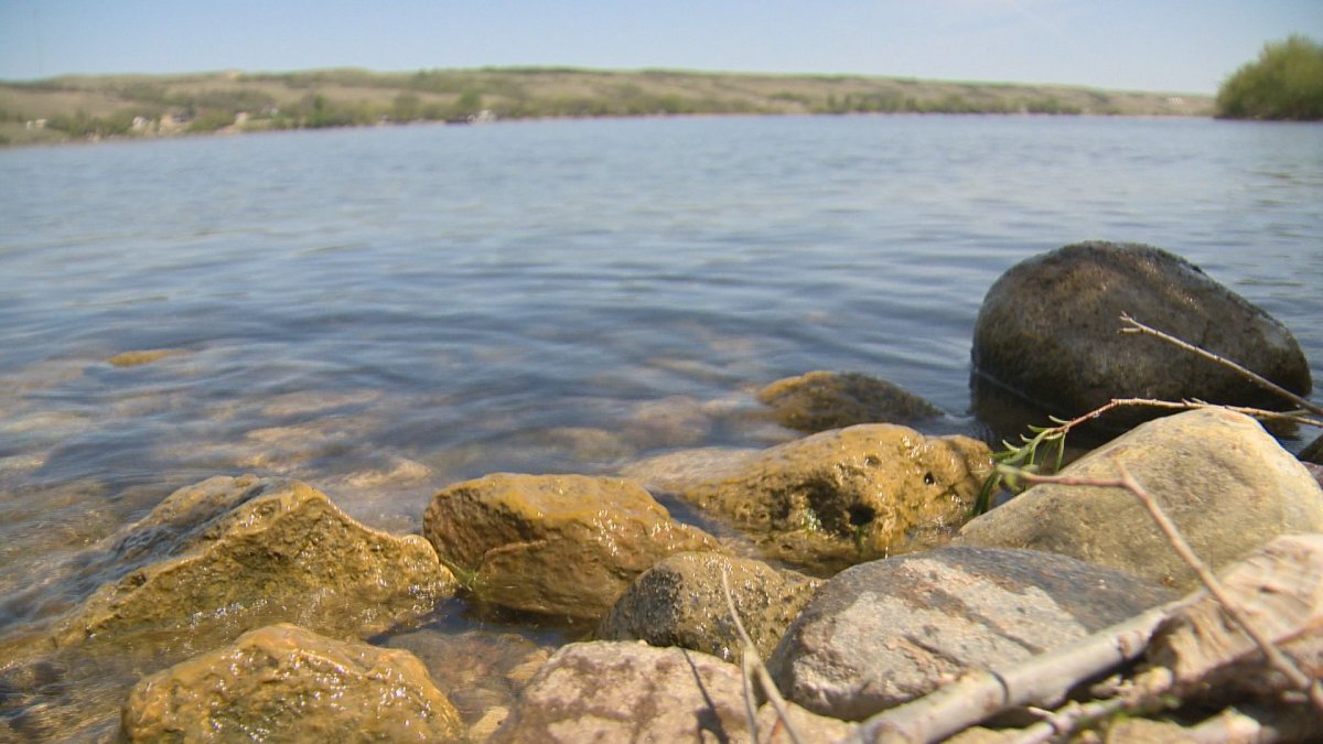 According to the study, the chance of exceeding toxin levels that cause acute human health effects has increased to one in four in several lakes in southern Saskatchewan.
