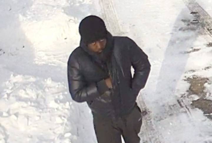 Hamilton police investigators are seeking the public’s help in identifying a man in photos taken from victim Cece Luppino’s home in late January.