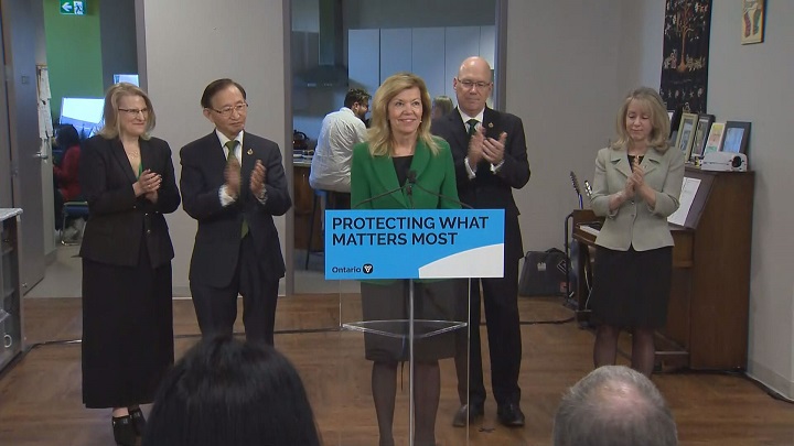 Health Minister Christine Elliott highlighted an investment of $174 million this year from her government's recent budget for community mental health and addictions services.