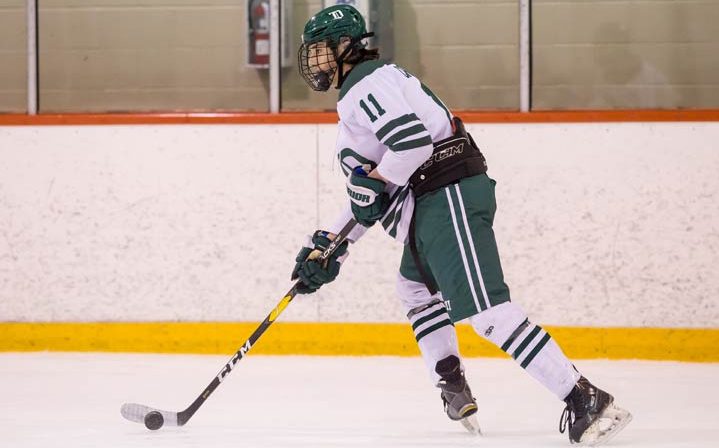 The Prince Albert Raiders announced the signing of forward Niall Crocker to a WHL standard players agreement on Thursday.