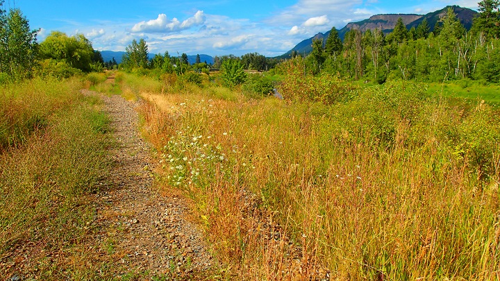 Another section of the proposed 50-kilometre rail trail in the North Okanagan and Shuswap.