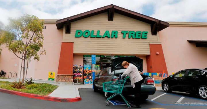 Dollar Tree ще затвори близо 1000 магазина, тъй като не е изпълнил прогнозите за печалбите си през празничните дни