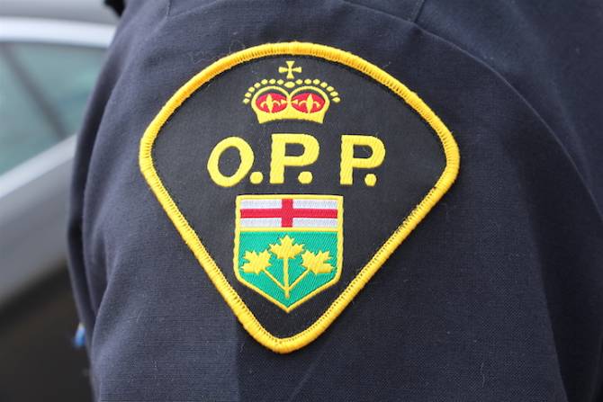Man dead after falling off moving minibus and being hit by it: Ontario police