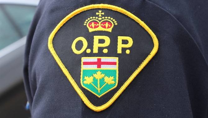 Man dead after falling off moving minibus and being hit by it: Ontario police  | Globalnews.ca
