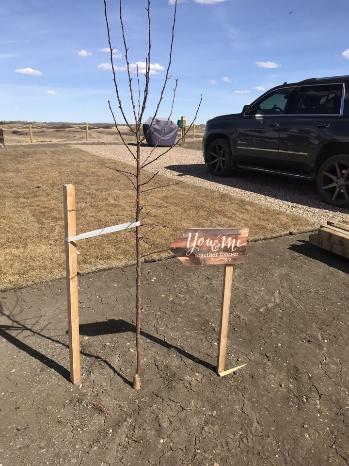 Just one camping site that has to be evacuated at Paradise Shores