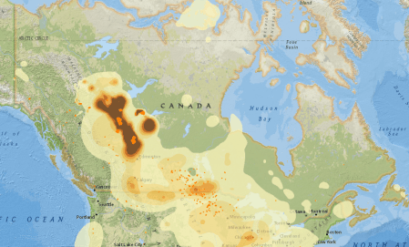 Wildfire smoke can harm your lungs, your heart, and maybe even your ...