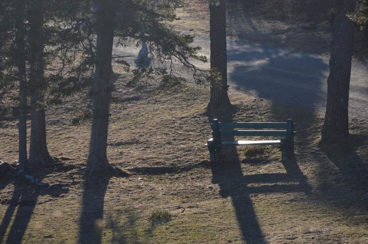 Halifax's Point Pleasant Park is seen in March 2018. 