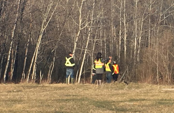About 100 people took part in a search effort to find a missing 34-year-old woman in Saddle Lake, Alta., on Wednesday.