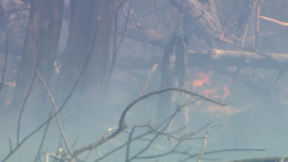 A grass fire on Saskatoon’s west side kept firefighters busy during the afternoon of May 30, 2019.