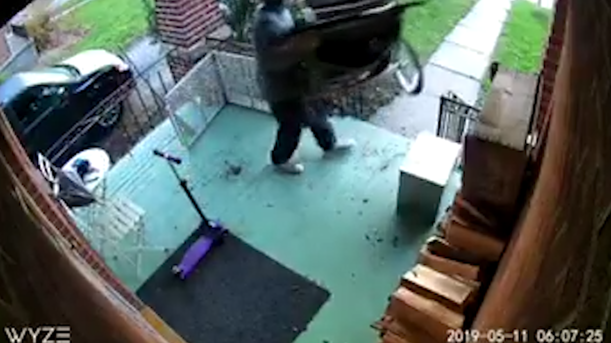 Surveillance footage of a stroller theft in Kingston.