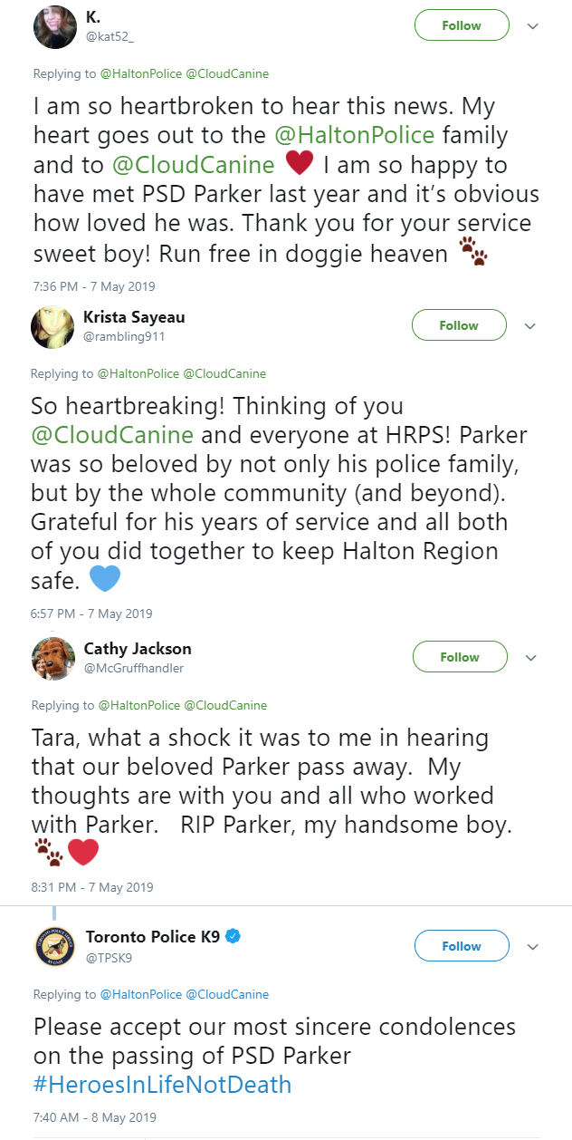 Halton police dog, Parker, dies weeks after retirement - image