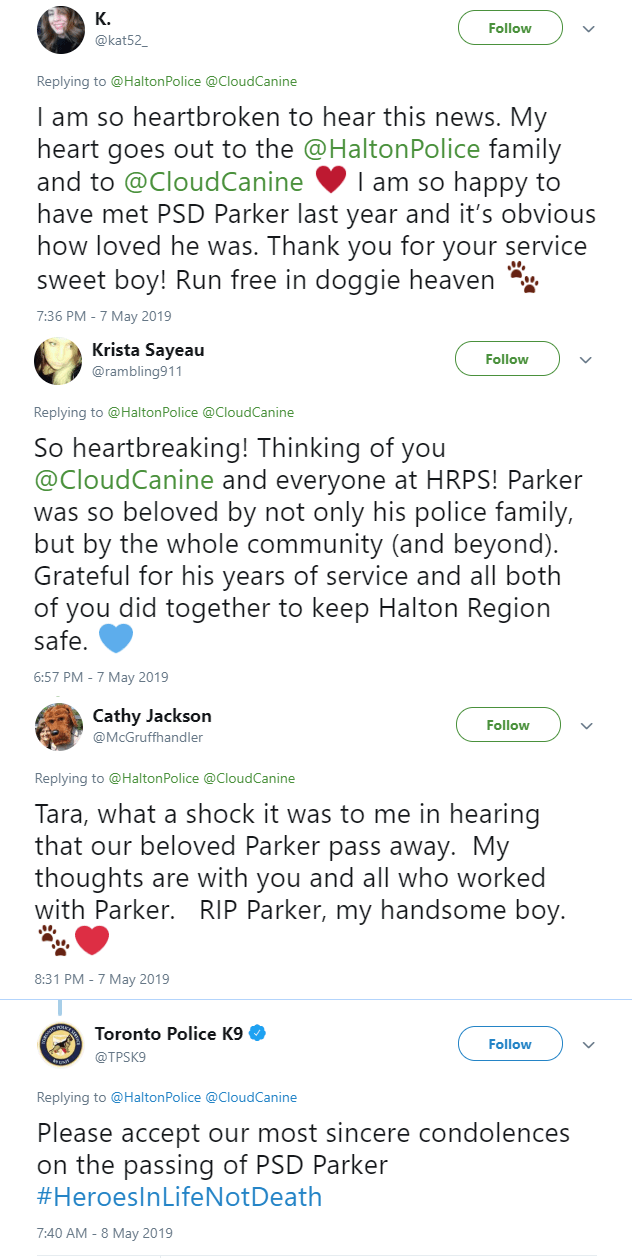 Halton police dog, Parker, dies weeks after retirement - image