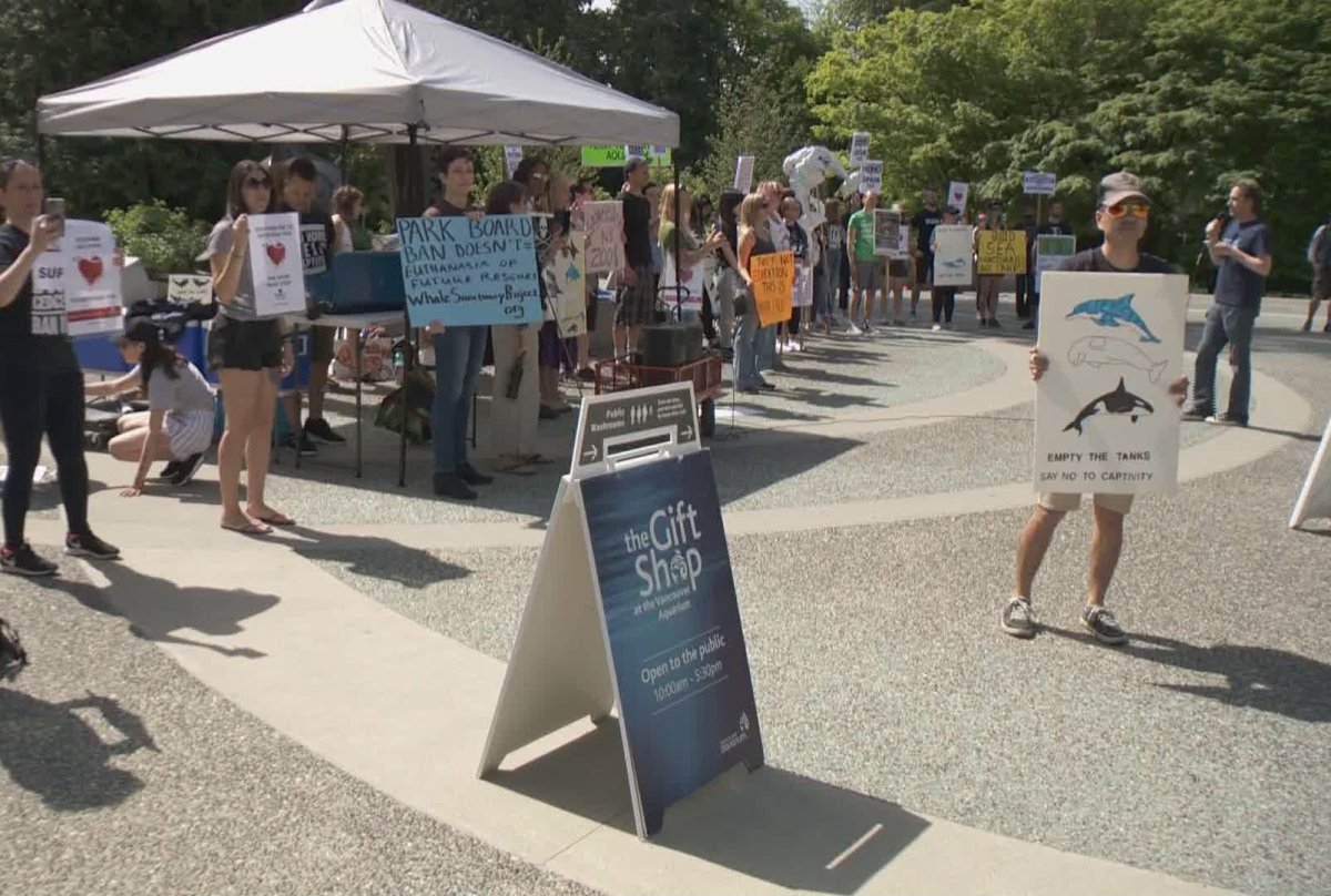 Protesters outside the Vancouver Aquarium in Stanley Park Saturday, May 11, 2019.
