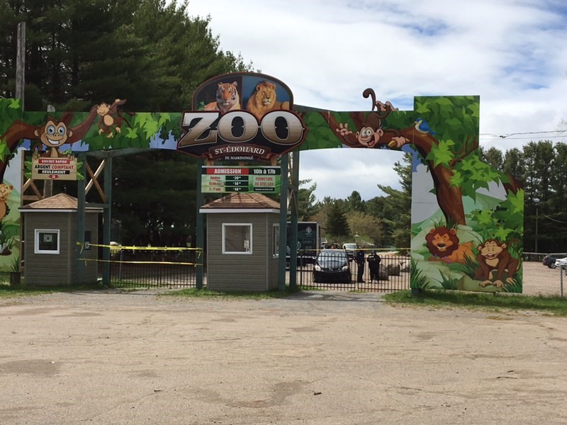 The Saint-Édouard Zoo owner is being charged with cruelty and neglect, and the animals are being seized.