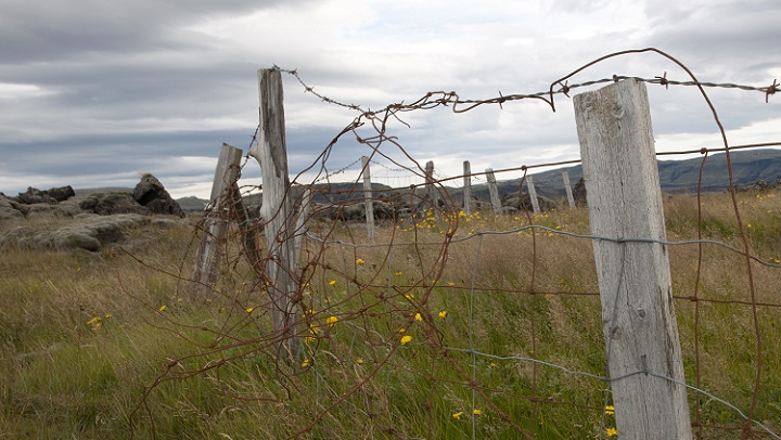 barbed wire calgary