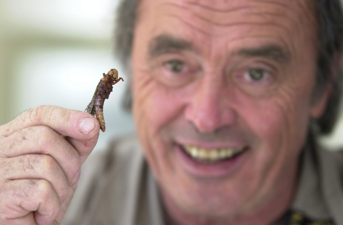 Entymologist Georges Brossard has lunch with Jan Wong at the Wong abode since no restaurant was willing to cook up insects for their lunch. Grasshoppers,cricket and stick insects were the order of the day, back in 2001.