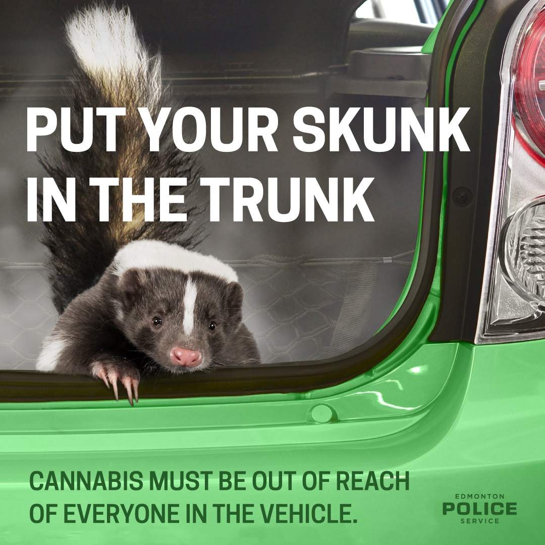 Edmonton police cannabis campaign.
