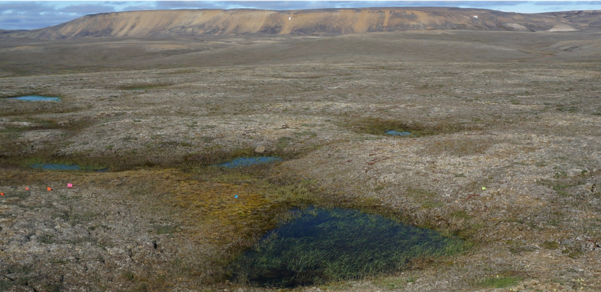 General view of a landscape of partially thawed Arctic permafrost near Mould Bay, Canada, in this handout photo released June 18, 2019.