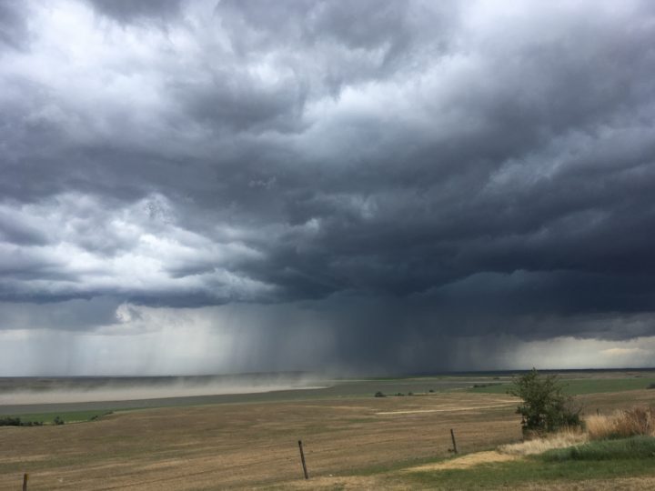 Saskatchewan weather outlook wet start to summer Globalnews.ca