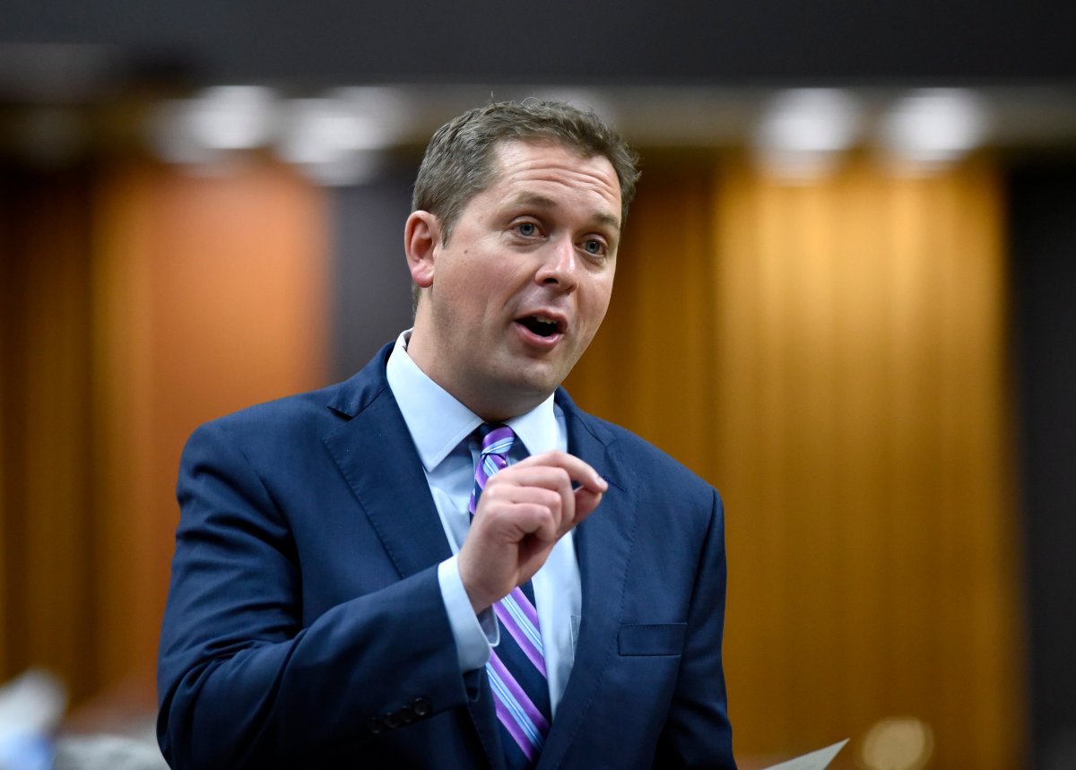 Conservative leader Andrew Scheer rises during Question Period in the House of Commons on Parliament Hill in Ottawa on Monday, June 3, 2019. 