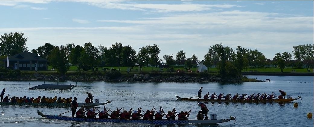 Breast cancer survivors: come and paddle with us! - image