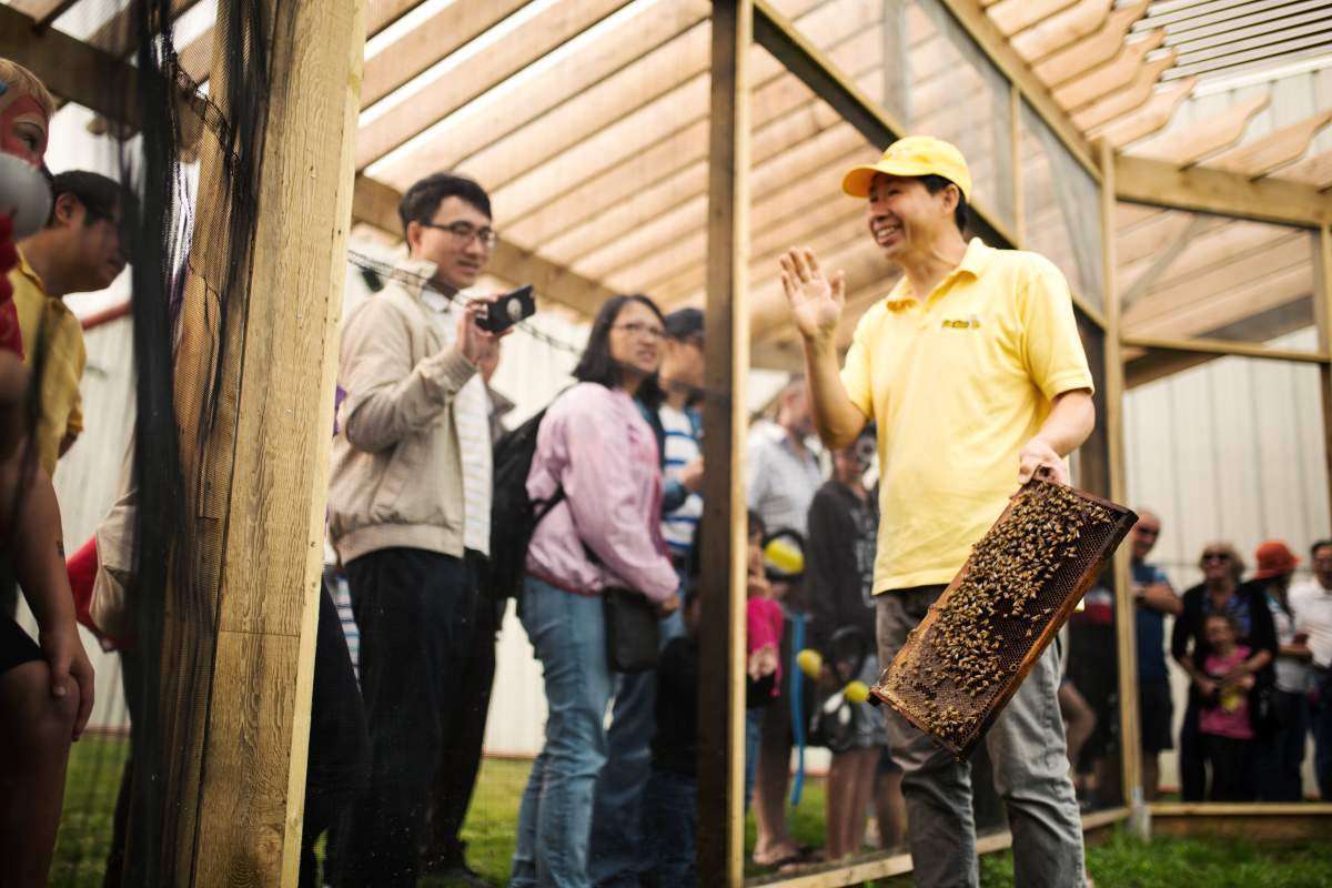 Bees & Blueberries Festival - image