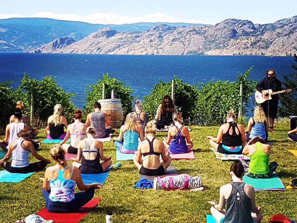 Evolve Cellars presents Yoga in the vines with live music, wine, champagne & lunch - image