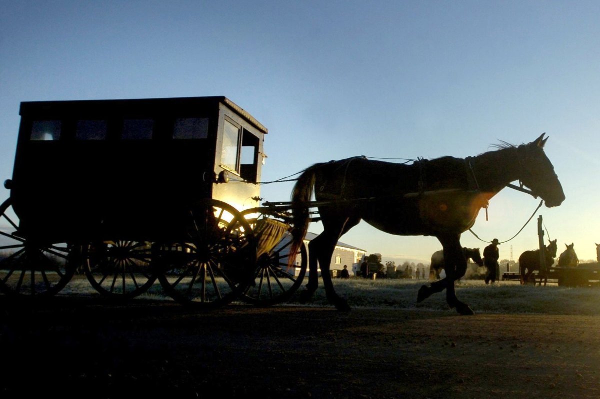 An Amish horse-drawn carriage is shown at a farm in Michigan in this file photo.