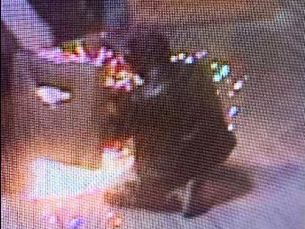 Two men are seen on camera trying to rob an ATM with a blowtorch in Florida.