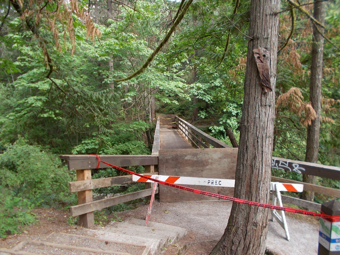 Nanaimo RCMP say the action of a Good Samaritan prevented a fire on this bridge in Bowen park from spreading into "the nearby tinder-dry forest.".