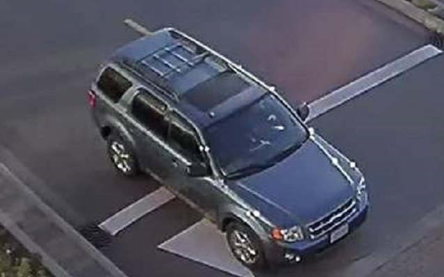 Investigators are looking for this vehicle in connection with a kitten that was dumped in the trash earlier this month.