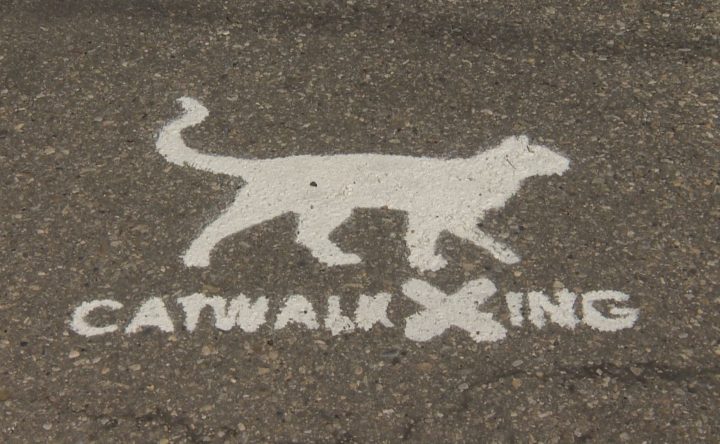 Revitalized catwalks in Calgary’s Marlborough neighbourhood were unveiled on Saturday, June 22, 2019.