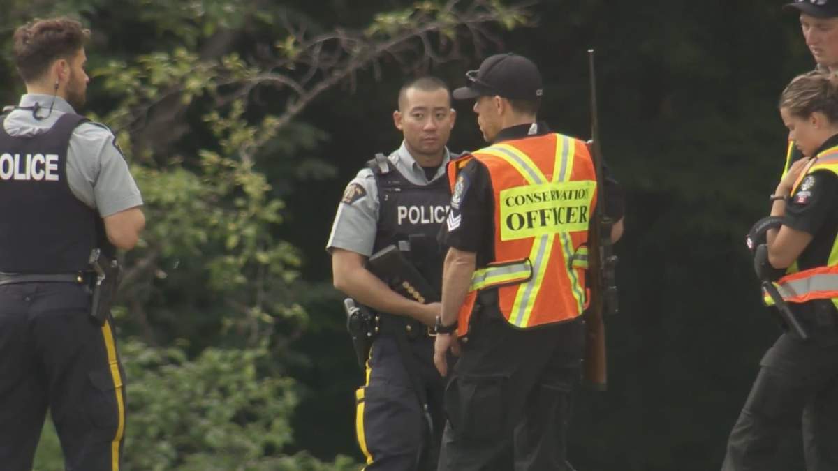 Conservation officers and RCMP members on Burnaby Mountain Tuesday. 