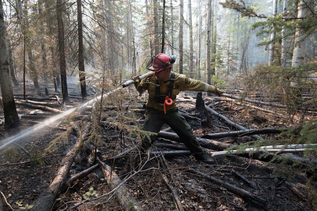 A firefighter extinguishes hotspots beside Highway 35 just south of the town of High Level, Alta., on May 25, 2019. Wildfires have forced more people from their homes in northern Alberta. Evacuation orders were issued overnight for the hamlet of Le Crete and other rural properties and reserves in the High Level area. THE CANADIAN PRESS/Government of Alberta, Chris Schwarz, *MANDATORY CREDIT*.