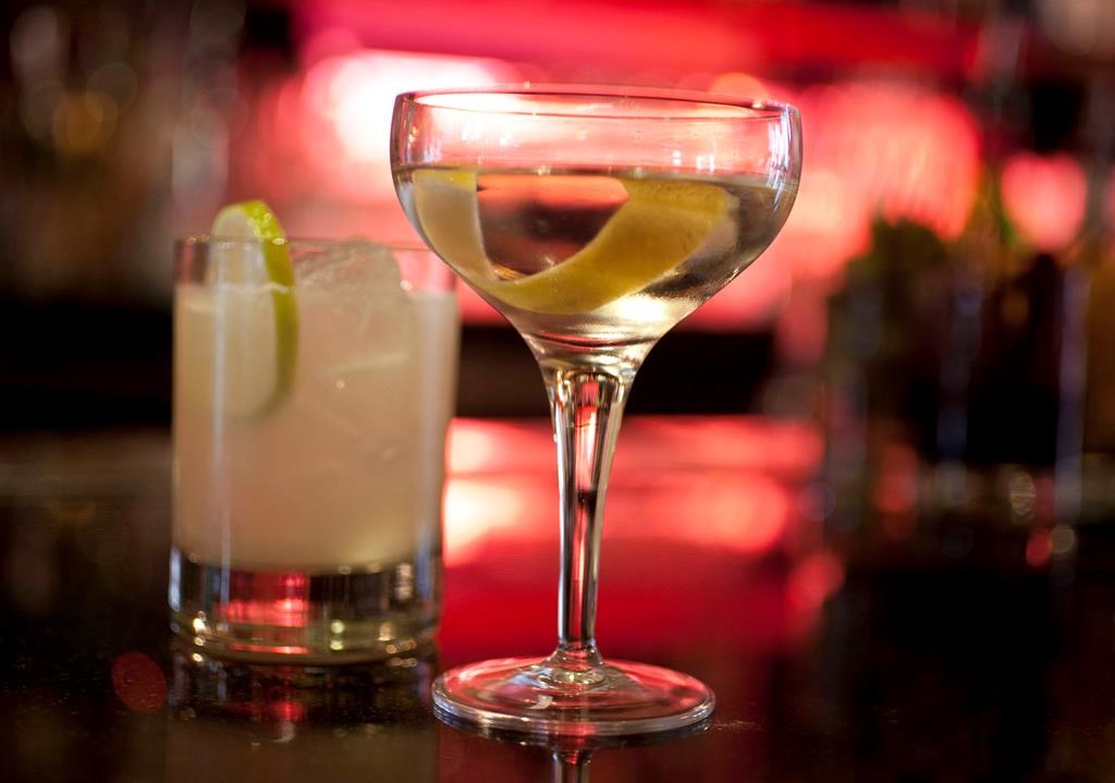 An Agave Margarita and gin Martini made sit on a bar.