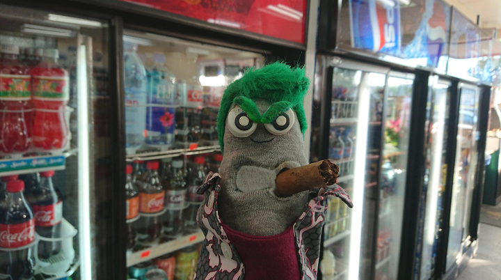 A photo of Ed the Sock in front of fridges at a local convenience store.