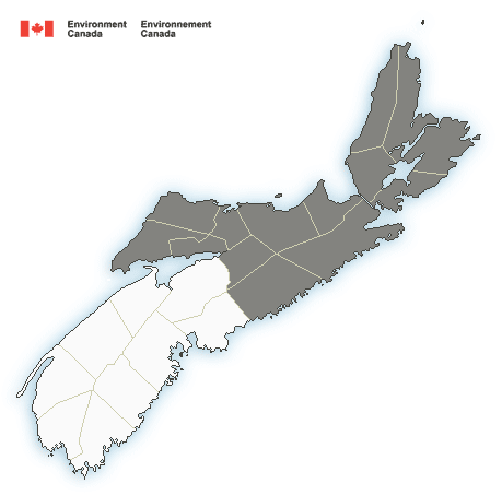 Frost advisory in effect for parts of New Brunswick and Nova Scotia ...