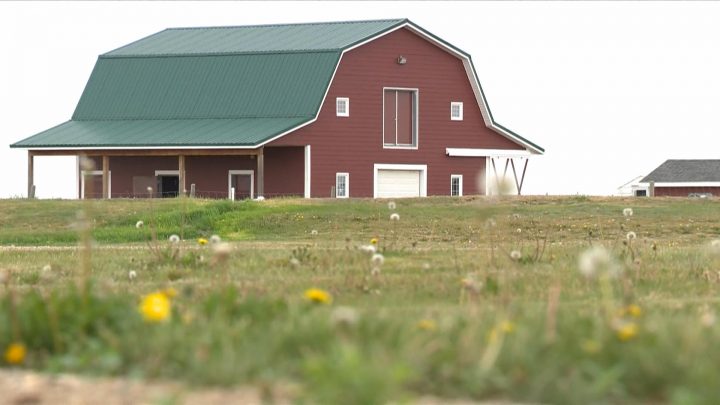 Farm in the Dell in Aberdeen, Sask., helps residents learn homemaking, self-help and socialization skills while working on a farm.