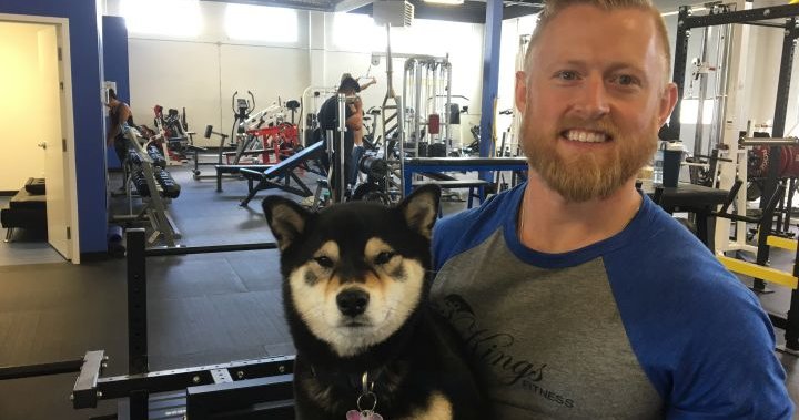 Canine company makes working out at Calgary gym ‘a lot more fun’ - Calgary | Globalnews.ca