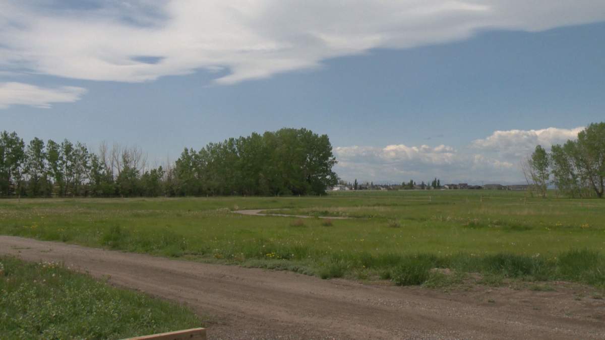 Parcel of land proposed for drive-in theatre in High River