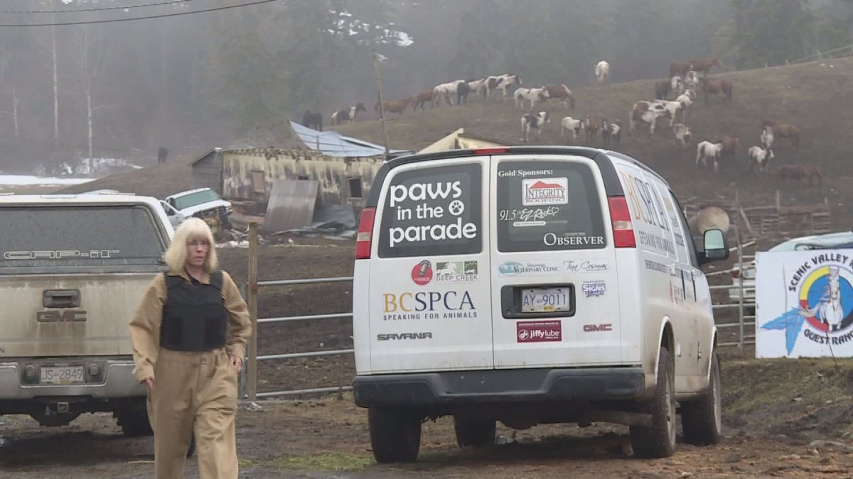 The BCSPCA seized dozens of animals from a north Okanagan ranch at the end of March. 