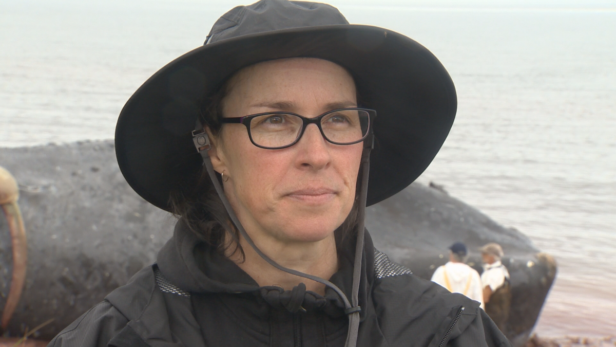 Isabelle Elliott, a marine mammal response coordinator​ with the Department of Fisheries and Oceans for the Gulf region, estimates the necropsy will take 12-14 hours