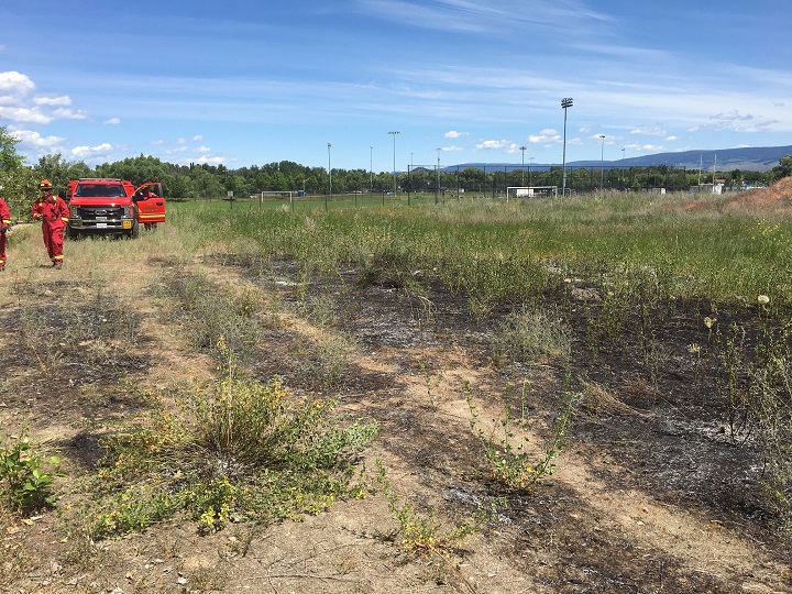 Members of the Kelowna Fire Department look for hot spots at an extinguished grass fire near the Capital News Centre on Tuesday.
