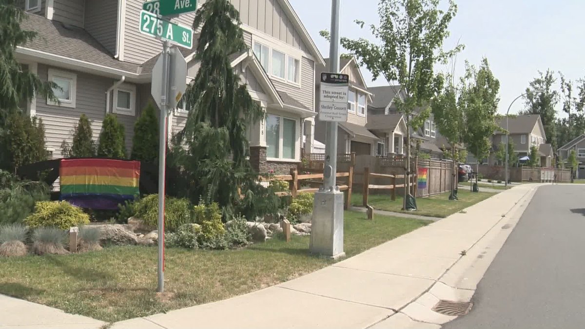 At least 15 Pride flags have been hung in a Langley neighbourhood after the city removed a woman's rainbow banner on a complaint from a neighbour last week. 