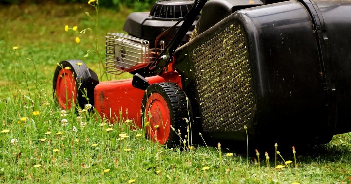 Лондон, Онтарио съветник оттегля предложения комендантски час за задвижвано с газ оборудване за тревни площи
