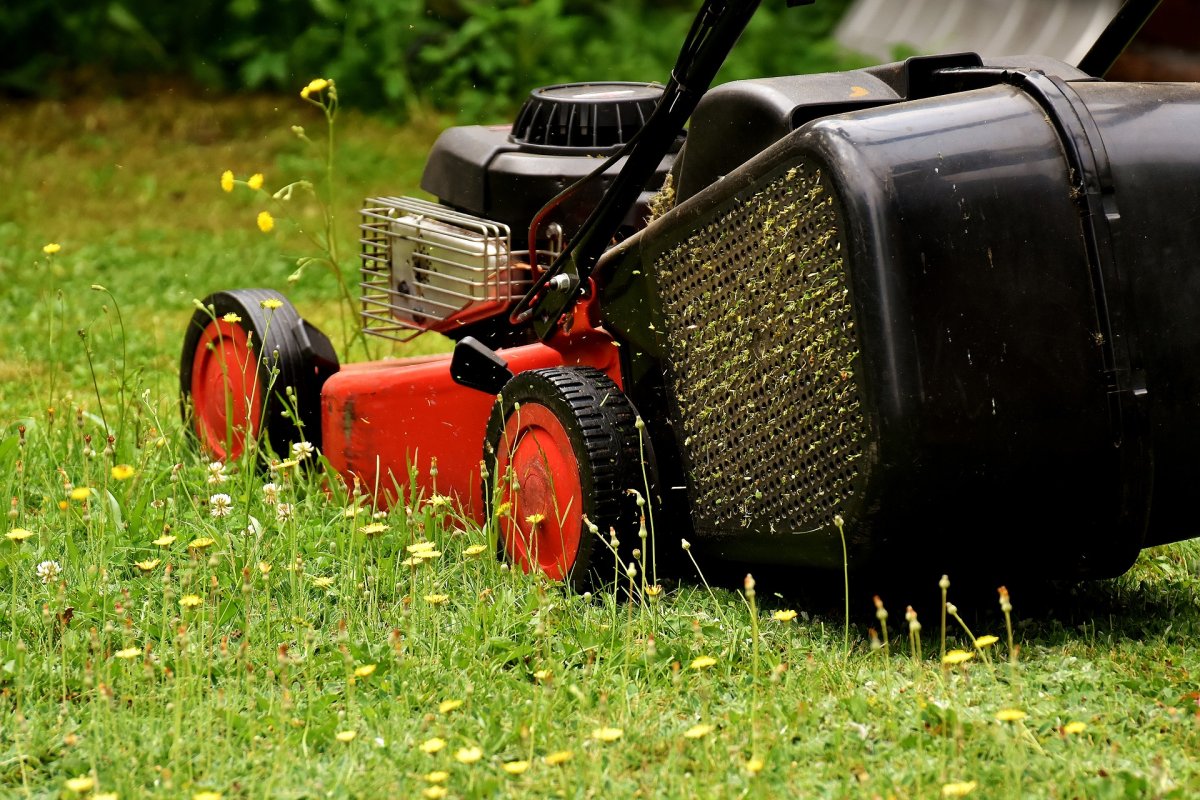 A London, Ont., councillor who suggested a curfew on lawnmowing has changed course. File Photo of a lawnmower.